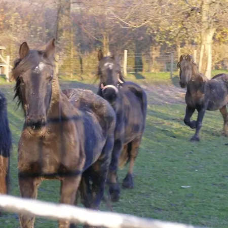 Meschermolen 14 Mesch