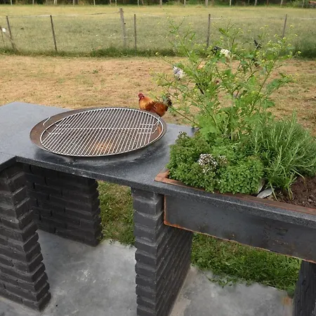 Meschermolen 14 Mesch