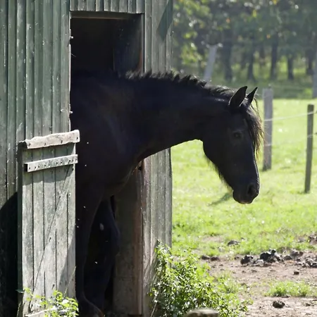 Διαμέρισμα Meschermolen 14 *