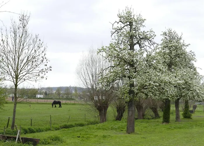 Meschermolen 14 Mesch