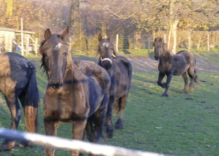 Meschermolen 14 Mesch