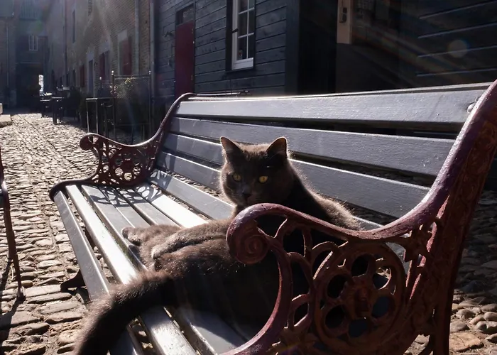 Apartman Meschermolen 14 Mesch