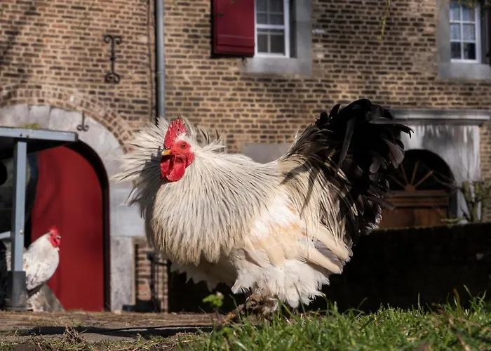 Meschermolen 14 * Mesch