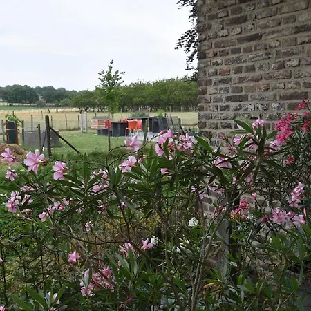 Meschermolen 14 Mesch