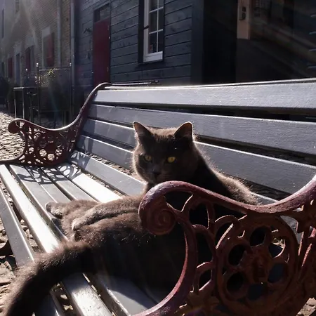 Apartamento Meschermolen 14 Mesch