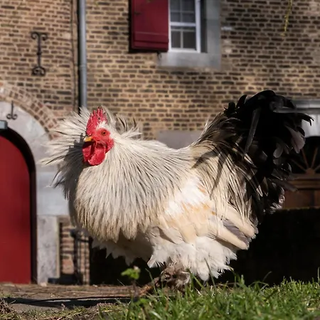 Meschermolen 14 * Mesch